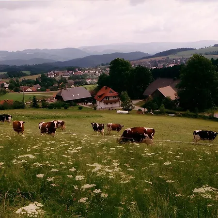 Ferien Auf Dem Steingrubenhof Sankt Peter
