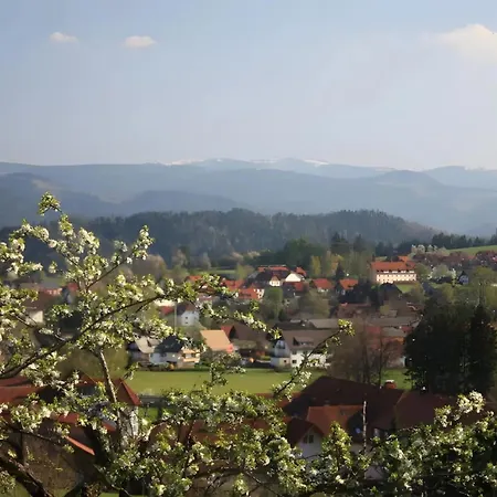 Ferien Auf Dem Steingrubenhof Appartamento *